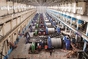 W020241120606693469715