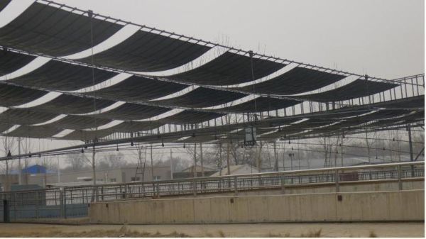 W020241121370128135740