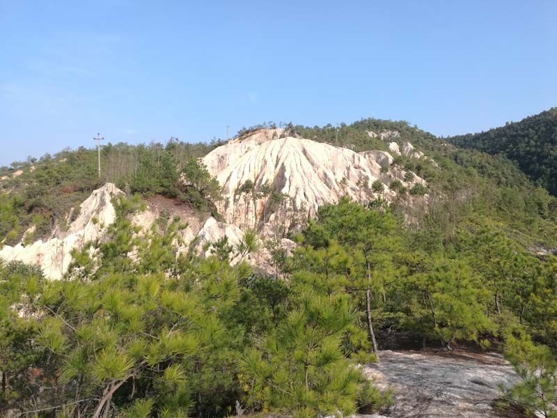 W020241119527189499843