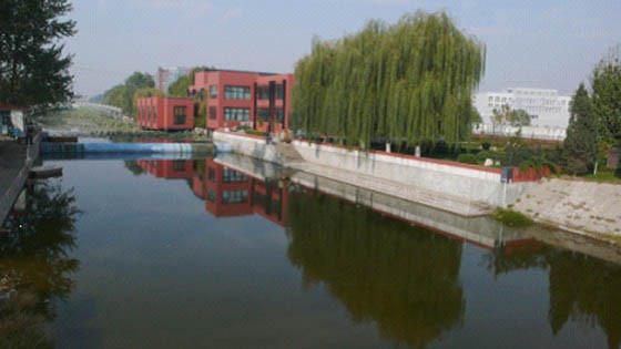 W020241119527687983142