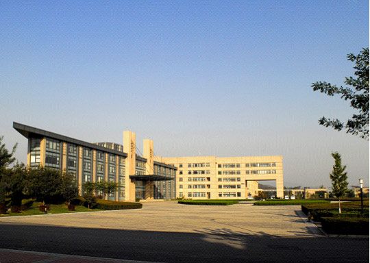 W020241119528356028375