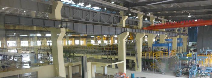 W020241119525560231879